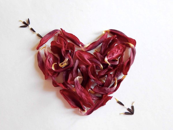 Une déclaration d'amour permanente : Trouvez le bijou parfait pour immortaliser votre histoire