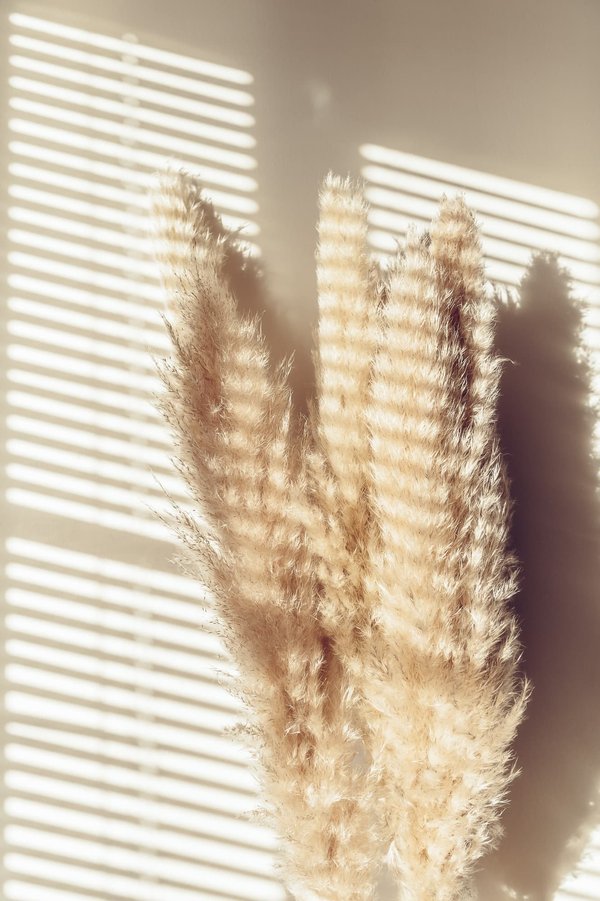 Comment utiliser la pampa dans vos décorations ?