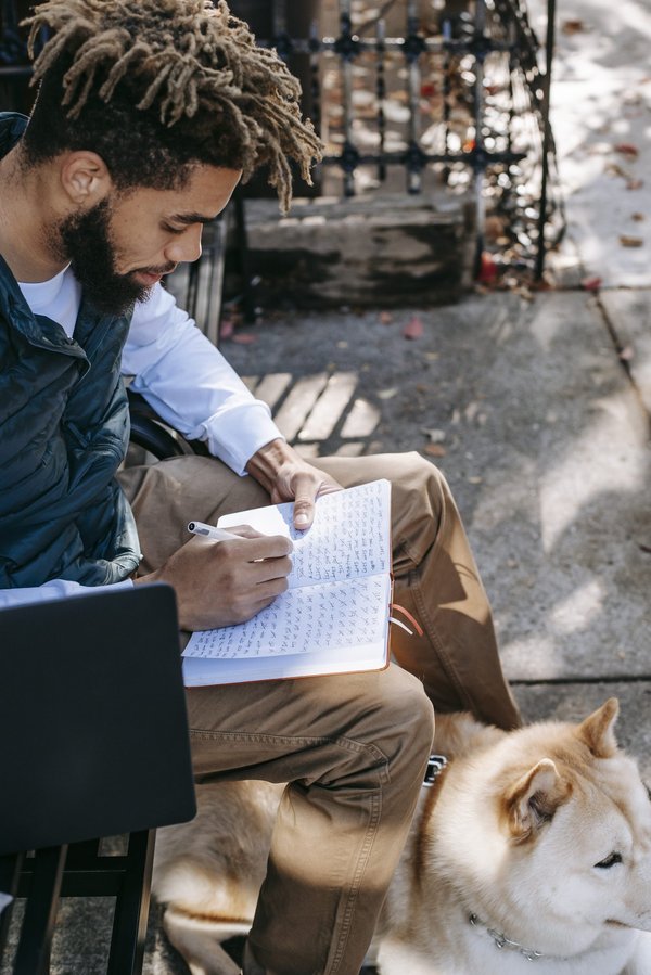 Qui est le plus intelligent entre un chien et un chat ?