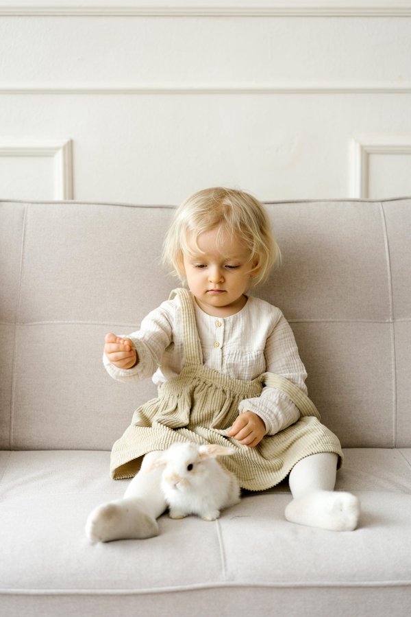 Pourquoi les bébé lapin sont mort ?