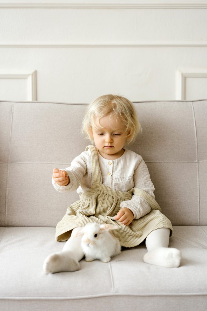 Pourquoi les bébé lapin sont mort ? Evildeadchainsaws